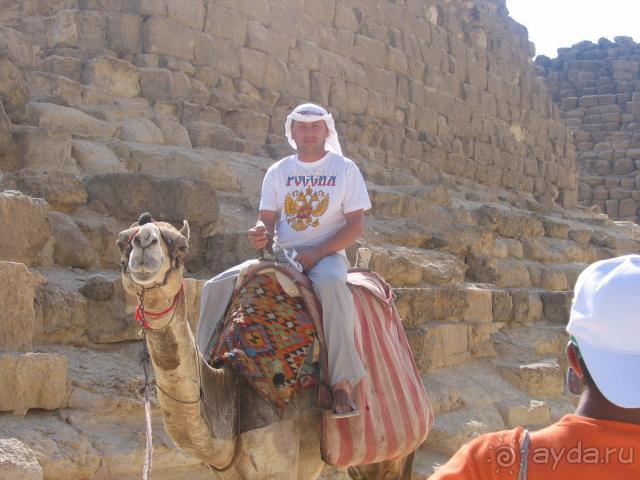 фото Sheraton Sharm Hotel, Resort, Villas & Spa