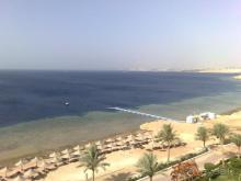 Недорогой и обычный