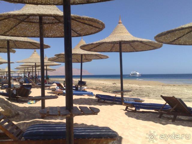 Недорогой и обычный