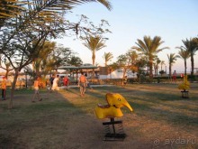 Детская и футбольная площадки