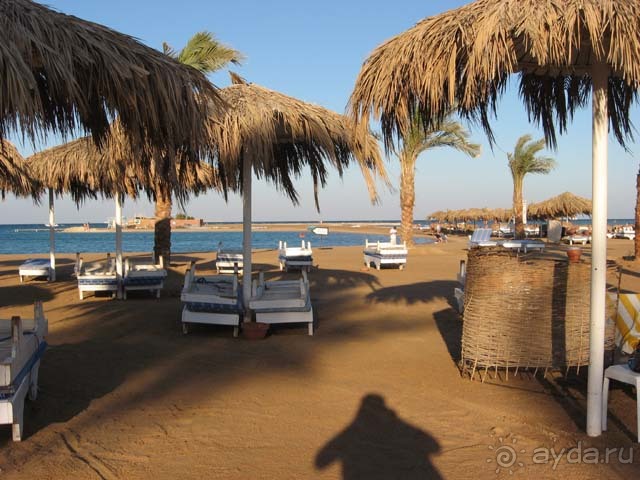 фото Reemyvera Beach PickAlbatros (закрыт)