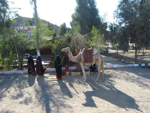 Местные жители по дороге в Луксор