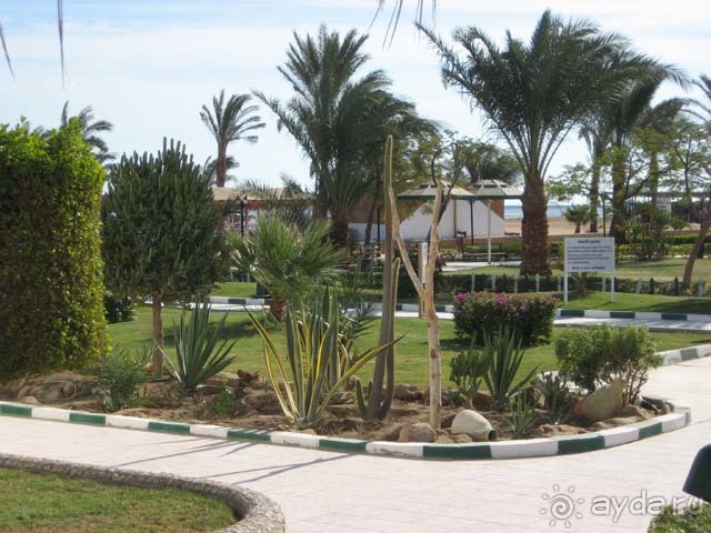 фото Reemyvera Beach PickAlbatros (закрыт)