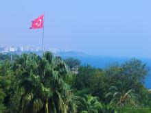 фото Градина