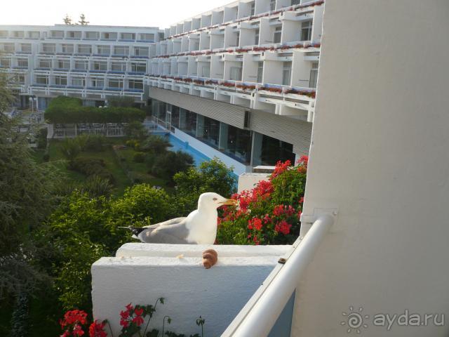 Европейский отдых