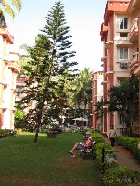 Оазис спокойствия среди всеобщей суматохи.