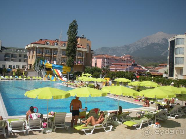 фото MG White Lilyum