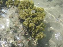 Всем не угодить, а мне очень понравился отель!