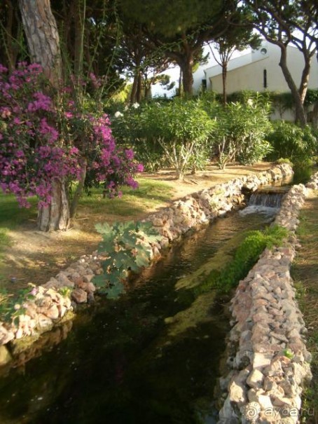 фото Сирена