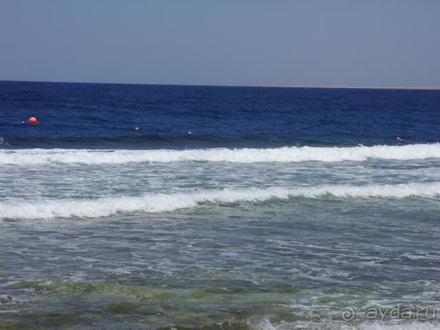 Вот оно Египетское Красное море. В темно синем отливе полно разных кораллов и рыб