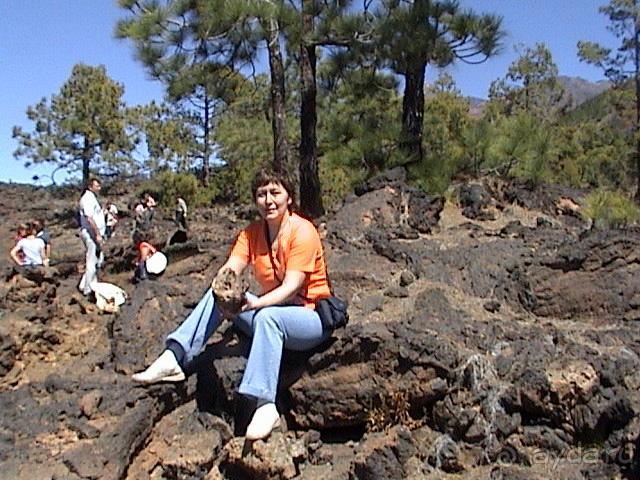 фото Flamingo Beach Mate