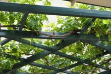 Отель теперь 5*