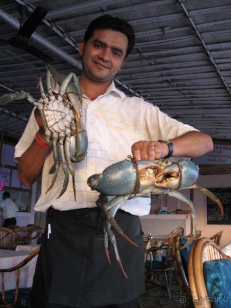 Любители комфортного отдыха, Вам сюда!