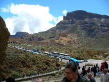 фото Flamingo Beach Mate