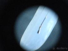 Альбом рассказа "Тула. Интересное рядом или спонтанная поездка."