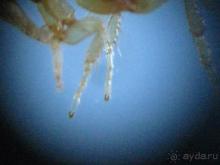 Альбом рассказа "Тула. Интересное рядом или спонтанная поездка."