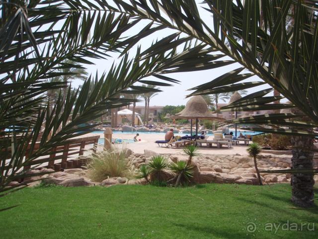 фото Русалка