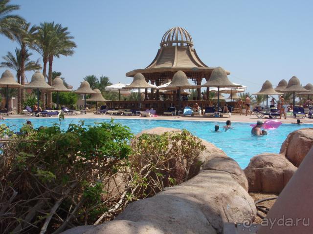 фото Русалка