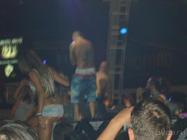 фото Актиния