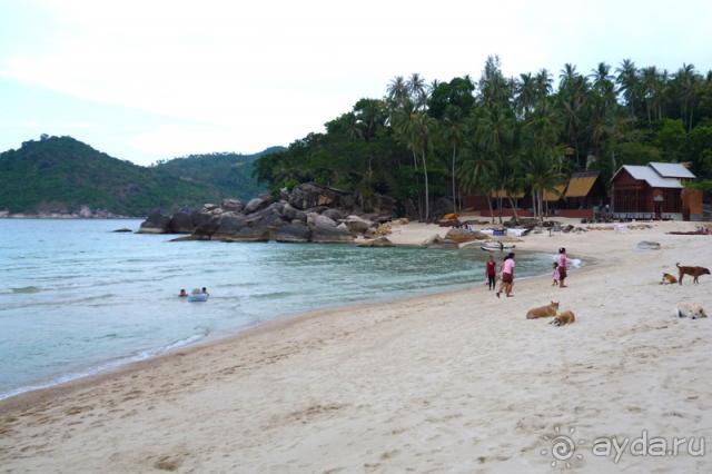 Это просто рай!