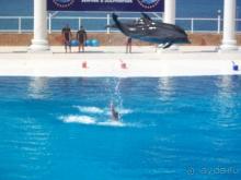 Полноценный отдых за небольшие деньги