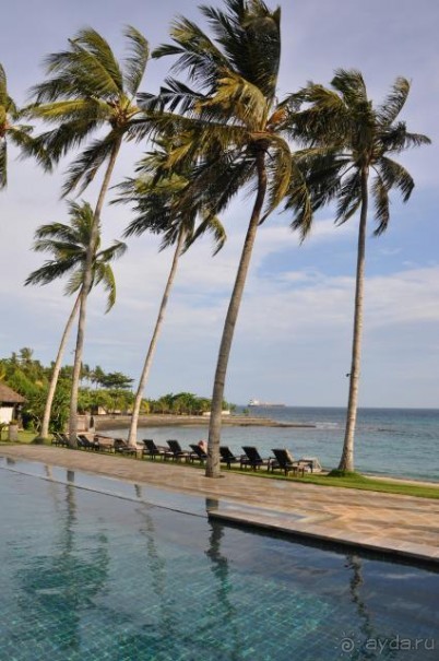 Вид на бассейн и море