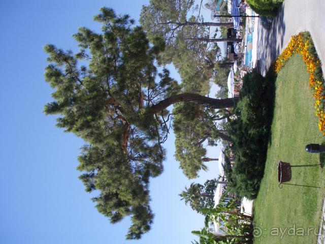 Немного фоток отеля