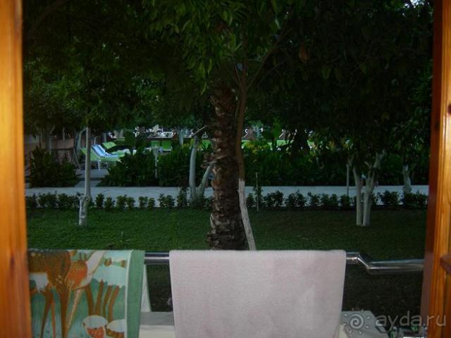 фото Хелена Парк