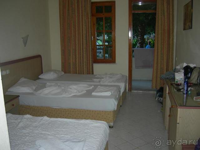 фото Хелена Парк