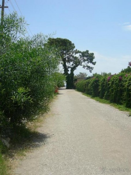 фото Хелена Парк