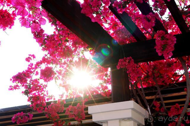 Лучше не бывает