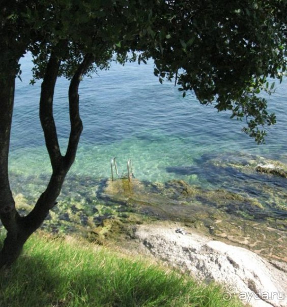 Милый дружелюбный отель