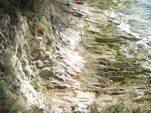 Милый дружелюбный отель