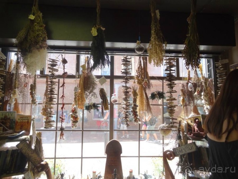 Американская история ужасов. Сезон 1, серия 2. Бостон, Салем