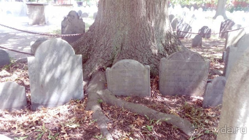 Американская история ужасов. Сезон 1, серия 2. Бостон, Салем