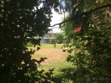 Американская история ужасов. Сезон 1, серия 3. Майами, Орландо