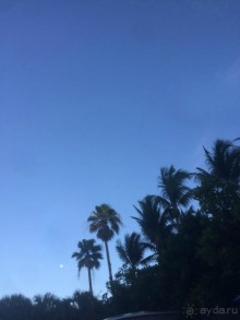 Американская история ужасов. Сезон 1, серия 3. Майами, Орландо