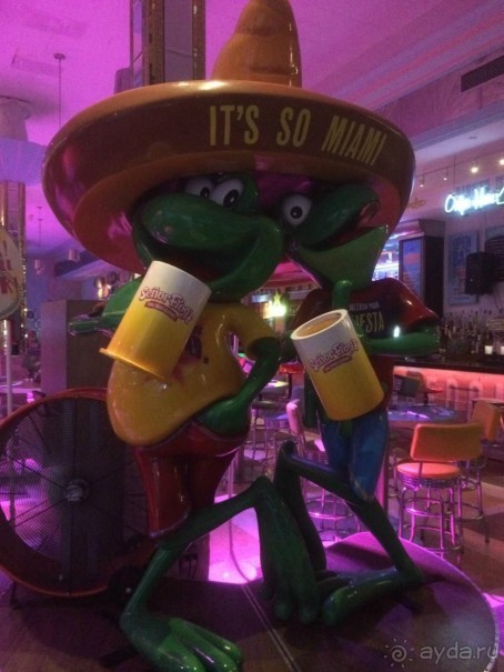 Американская история ужасов. Сезон 1, серия 3. Майами, Орландо