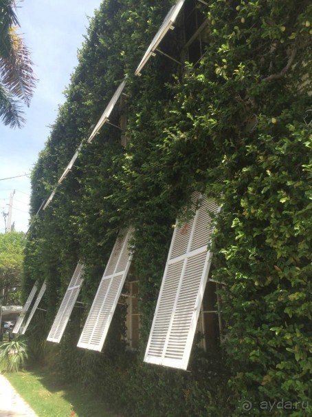 Американская история ужасов. Сезон 1, серия 3. Майами, Орландо