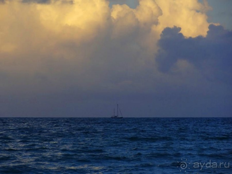 Американская история ужасов. Сезон 1, серия 3. Майами, Орландо