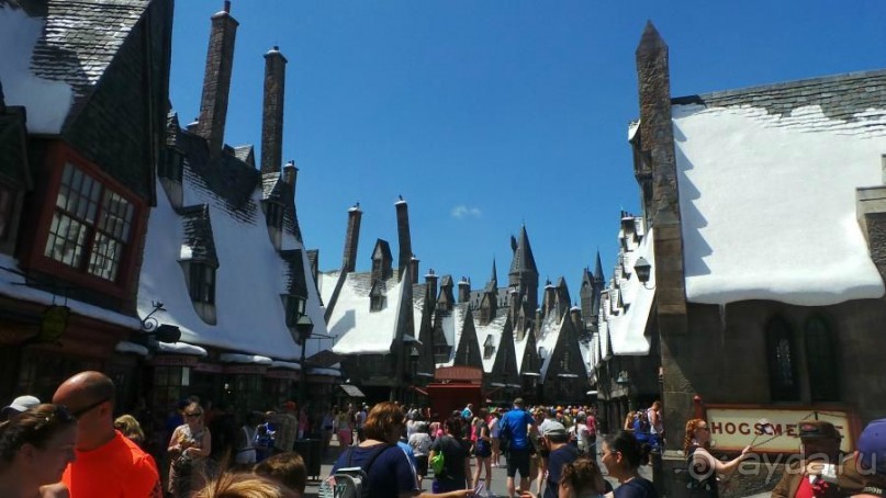 Американская история ужасов. Сезон 1, серия 3. Майами, Орландо