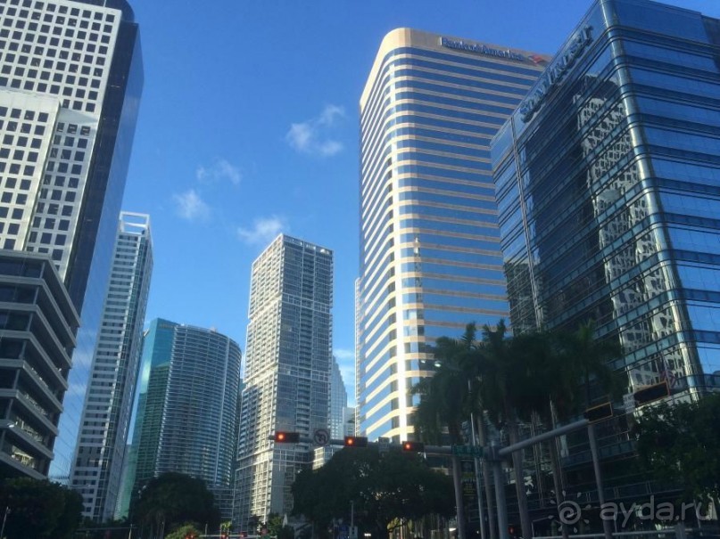 Американская история ужасов. Сезон 1, серия 3. Майами, Орландо