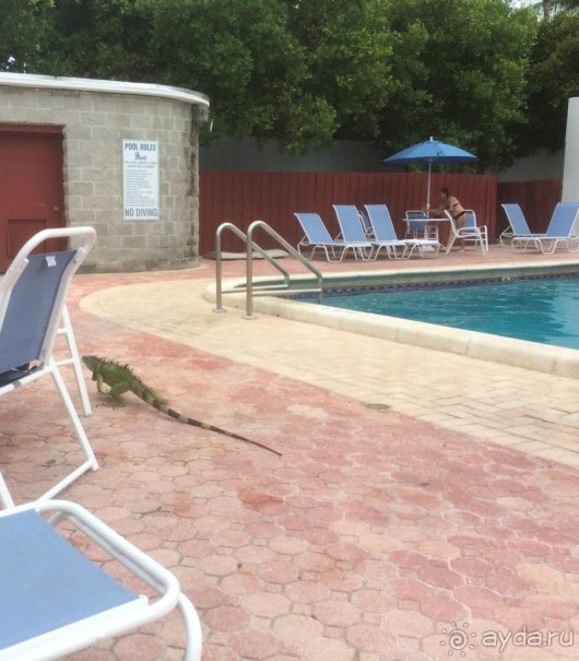 Американская история ужасов. Сезон 1, серия 3. Майами, Орландо