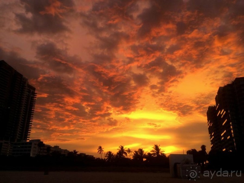 Американская история ужасов. Сезон 1, серия 3. Майами, Орландо