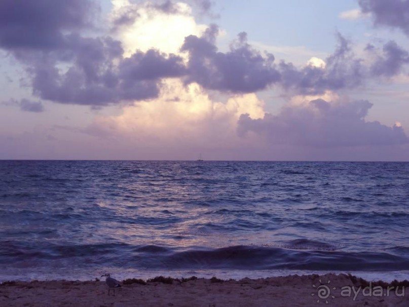 Американская история ужасов. Сезон 1, серия 3. Майами, Орландо