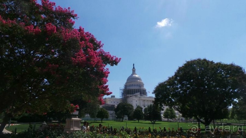 Американская история ужасов. Сезон 1, серия 4. Вашингтон