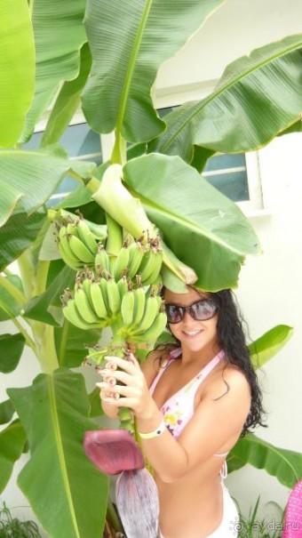 Отдых в раю