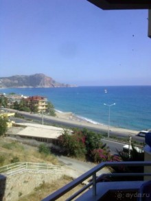 фото Palmera Kleopatra Beach