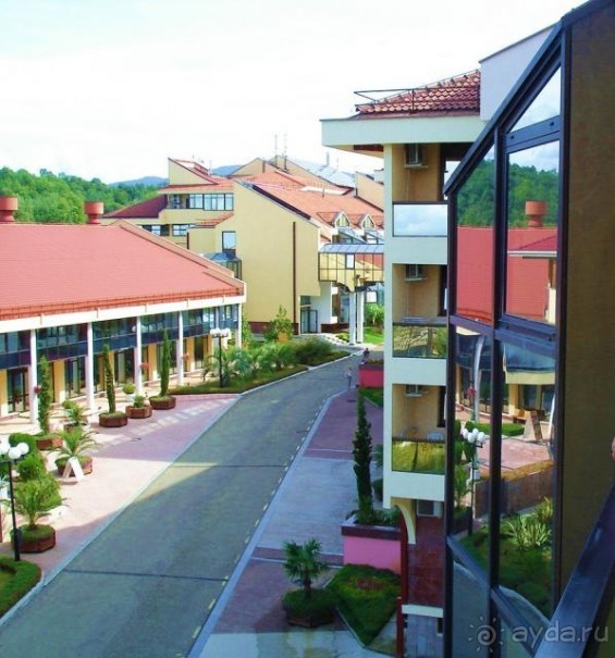 Сочи  пансионат Шексна