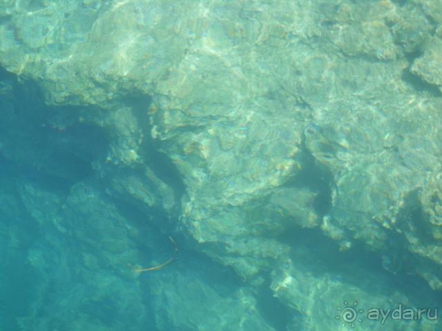 фото  Hotel Ambiente